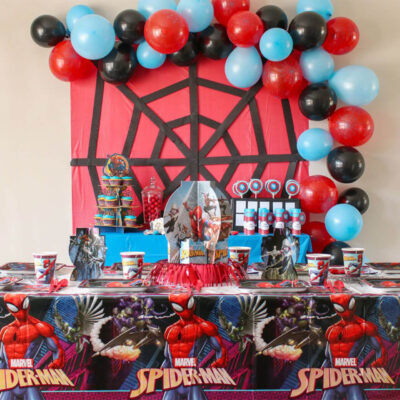 Spidernizzle Doğum Günü Konsept
